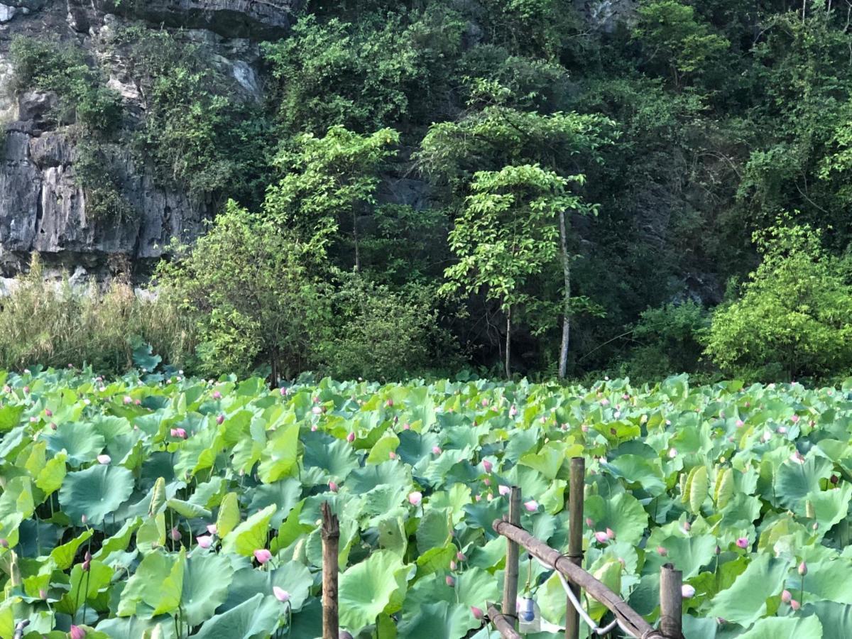 Trang An River View Homestay Ninh Binh Dış mekan fotoğraf